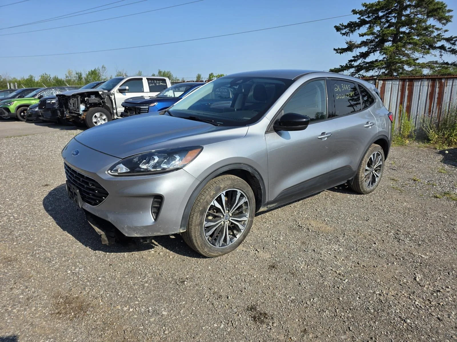 Ford Escape — auto z Kanady